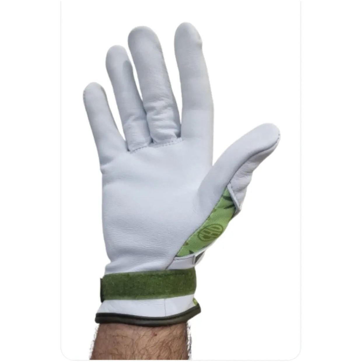 KOTC Cannabis 921 Unpadded Palms New York Handball ™️